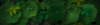 [http://www.massassi.net/images/cellbg.gif]